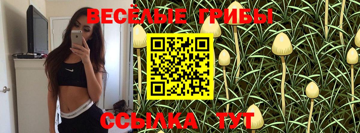 Псилоцибиновые грибы MAGIC MUSHROOMS  Вход с VPN  купить   Петрозаводск 